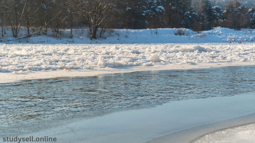 The Frozen River Book: Guide to Ariel Lawhon's Novel in 2025